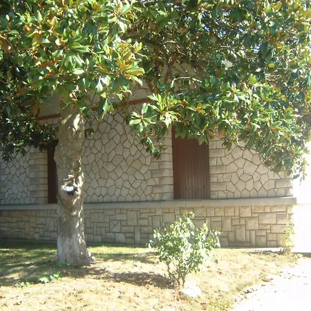 Les Hortensias Saujon